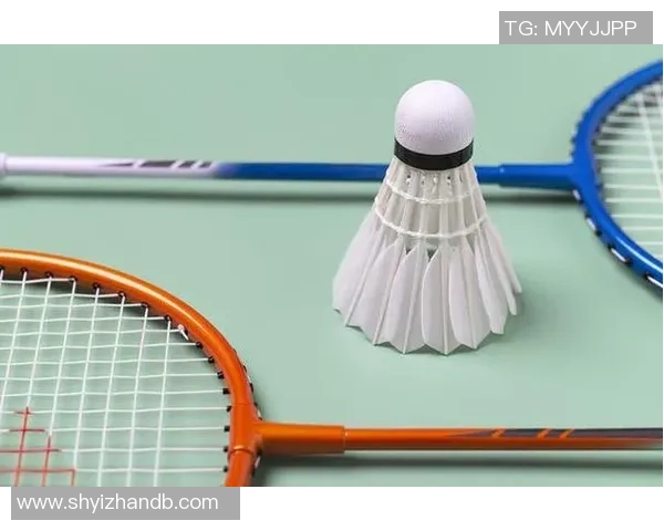 从零开始：羽毛球技术完全攻略（331 ）